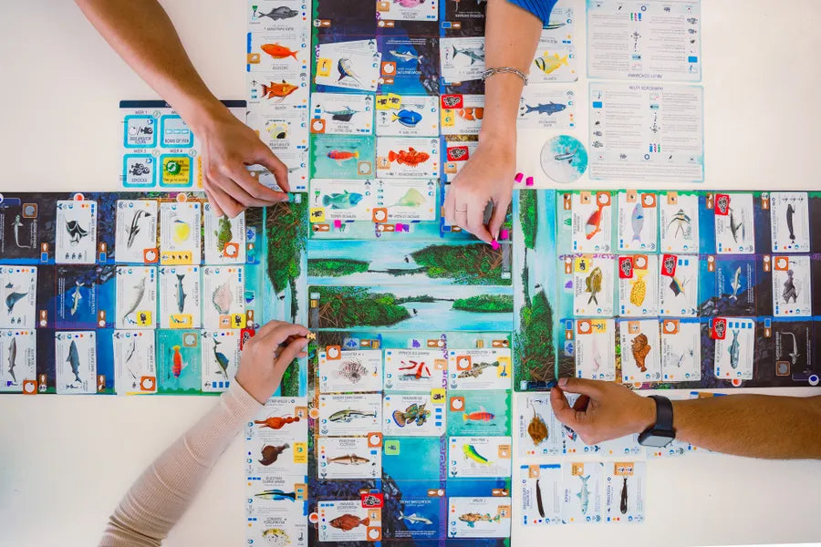Partita in corso al gioco da tavolo Finspan: 1-5 giocatori gestiscono habitat marini con carte pesce e plance personali