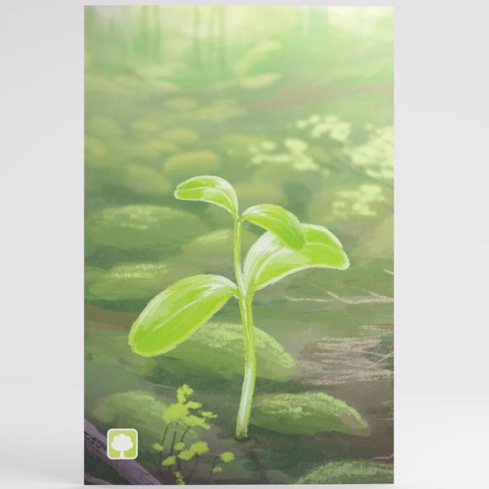 Forest Shuffle - Art Sleeves (185 Bustine)