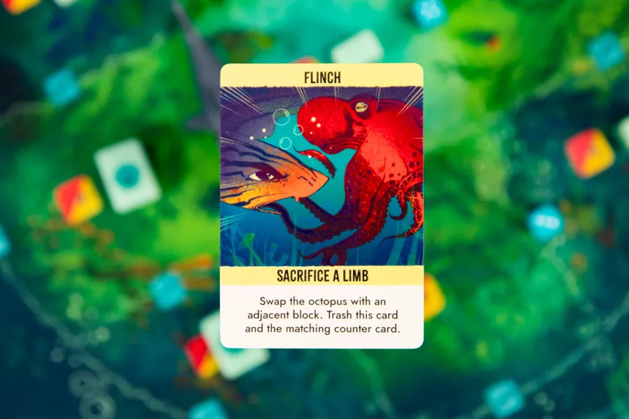 Kelp: Shark vs Octopus