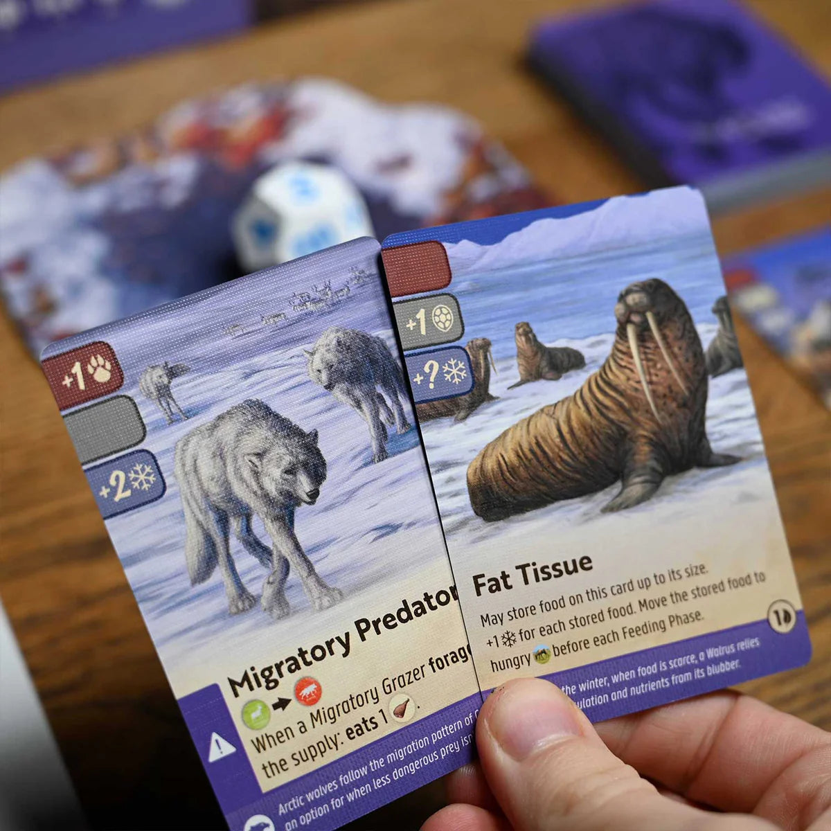 Nature - Arctic Tundra
