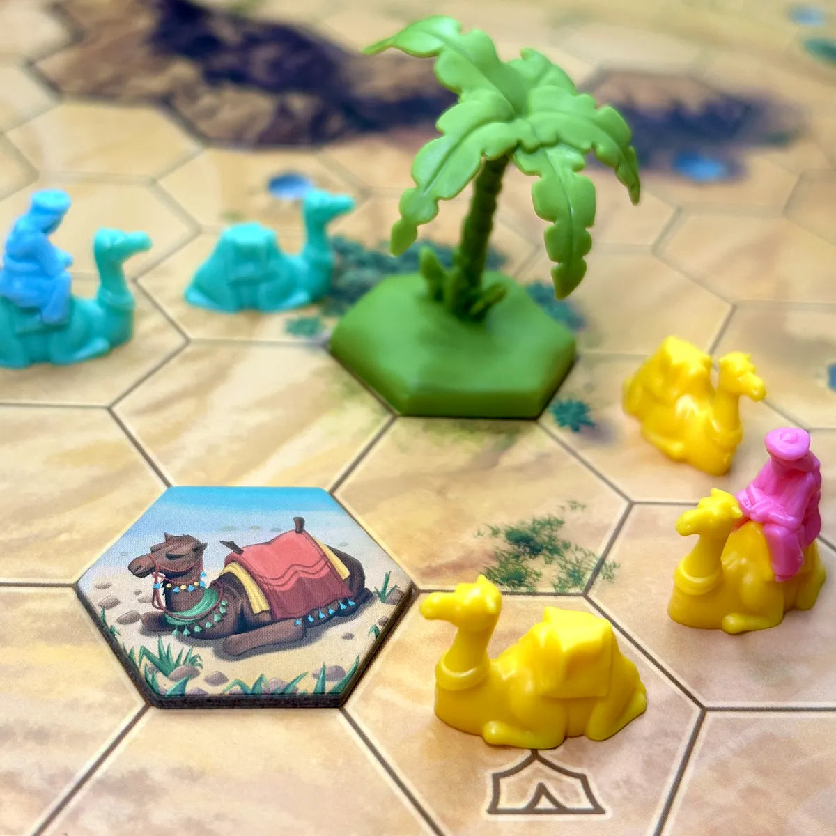 Through the Desert - Bazaar