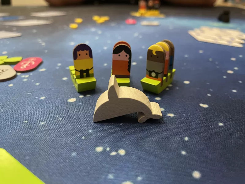 Whale to Look