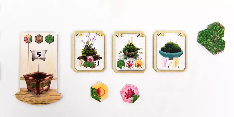 Bonsai Wabi Sabi Espansione