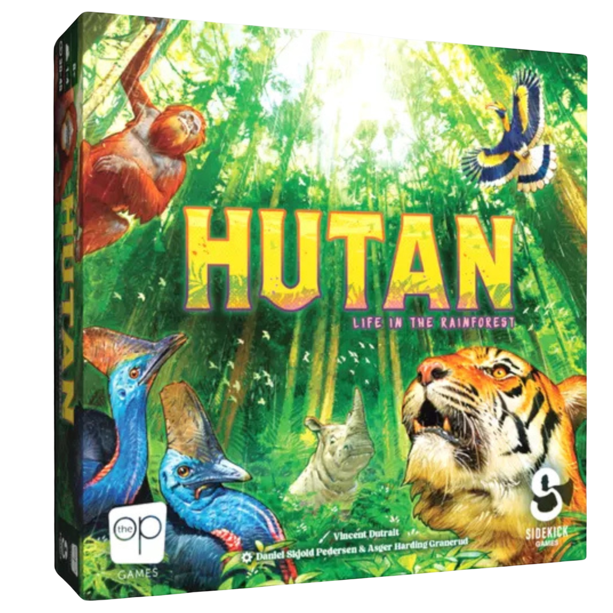 Hutan Life in the Rainforest