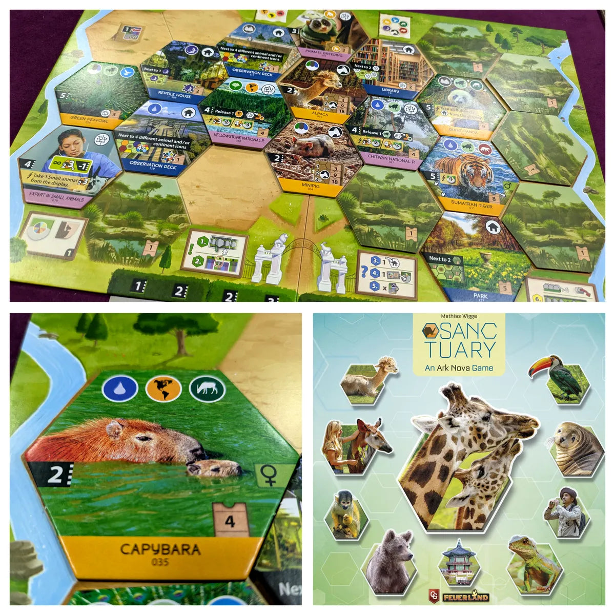 Ark Nova - Il Santuario degli Animali