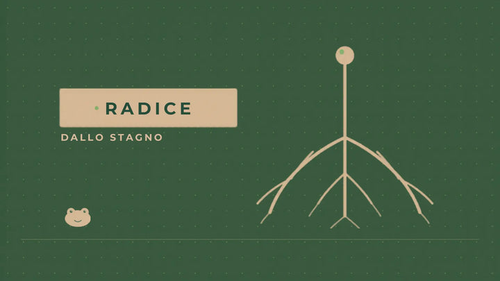 Dungeons & Dragons, prima edizione 1974, Gary Gygax e Dave Arneson, TSR Lake Geneva