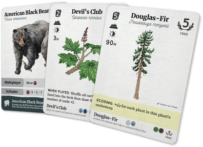 Reforest - Plants of the Pacific Northwest Coast