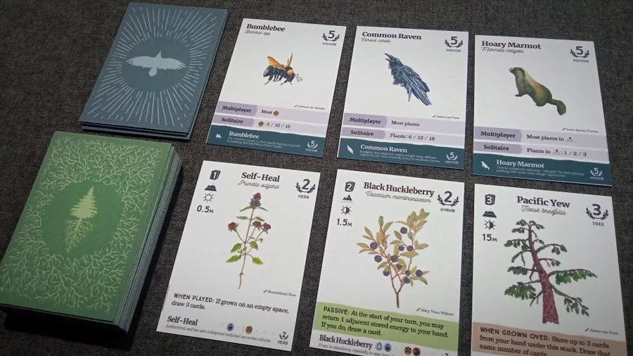 Reforest - Plants of the Pacific Northwest Coast