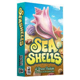 Seashells - ITA