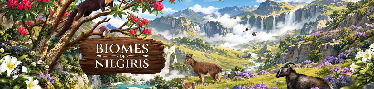 Un gioco di natura con 50 animali veri dei monti Nilgiri.