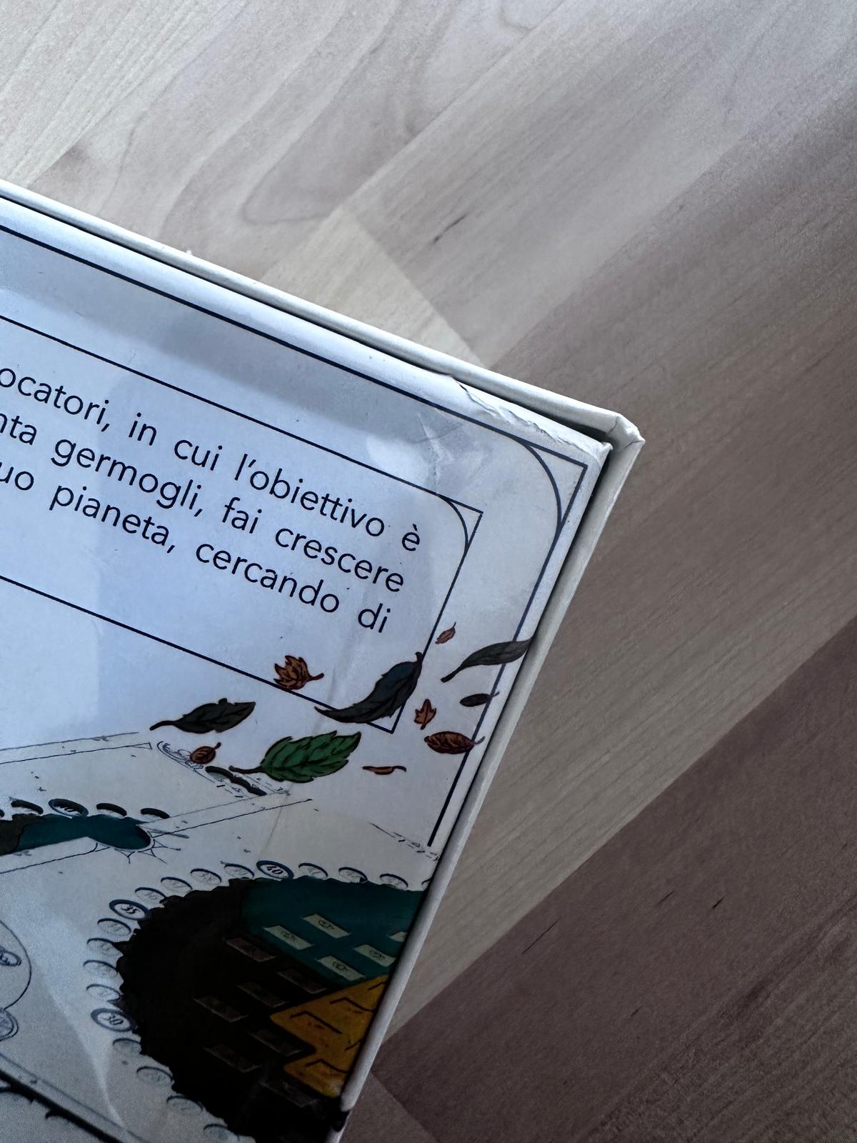 Danneggiato Evergreen vedere foto