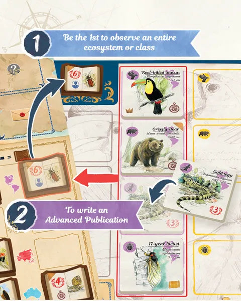 In the Footsteps of Darwin: Correspondence
